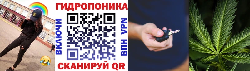 маркетплейс наркотические препараты  Южа  Бошки Шишки White Widow 